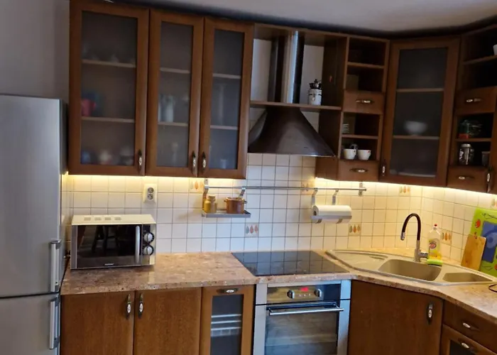Apartament U Zdrojka
